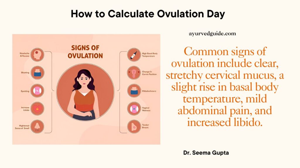 signs of ovulation