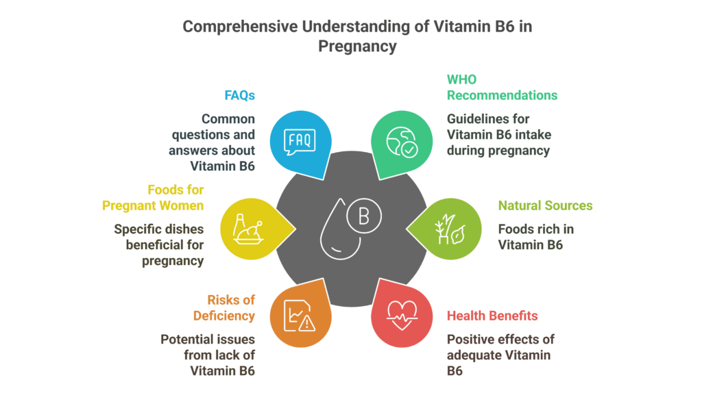 Vitamin B6 Pregnancy