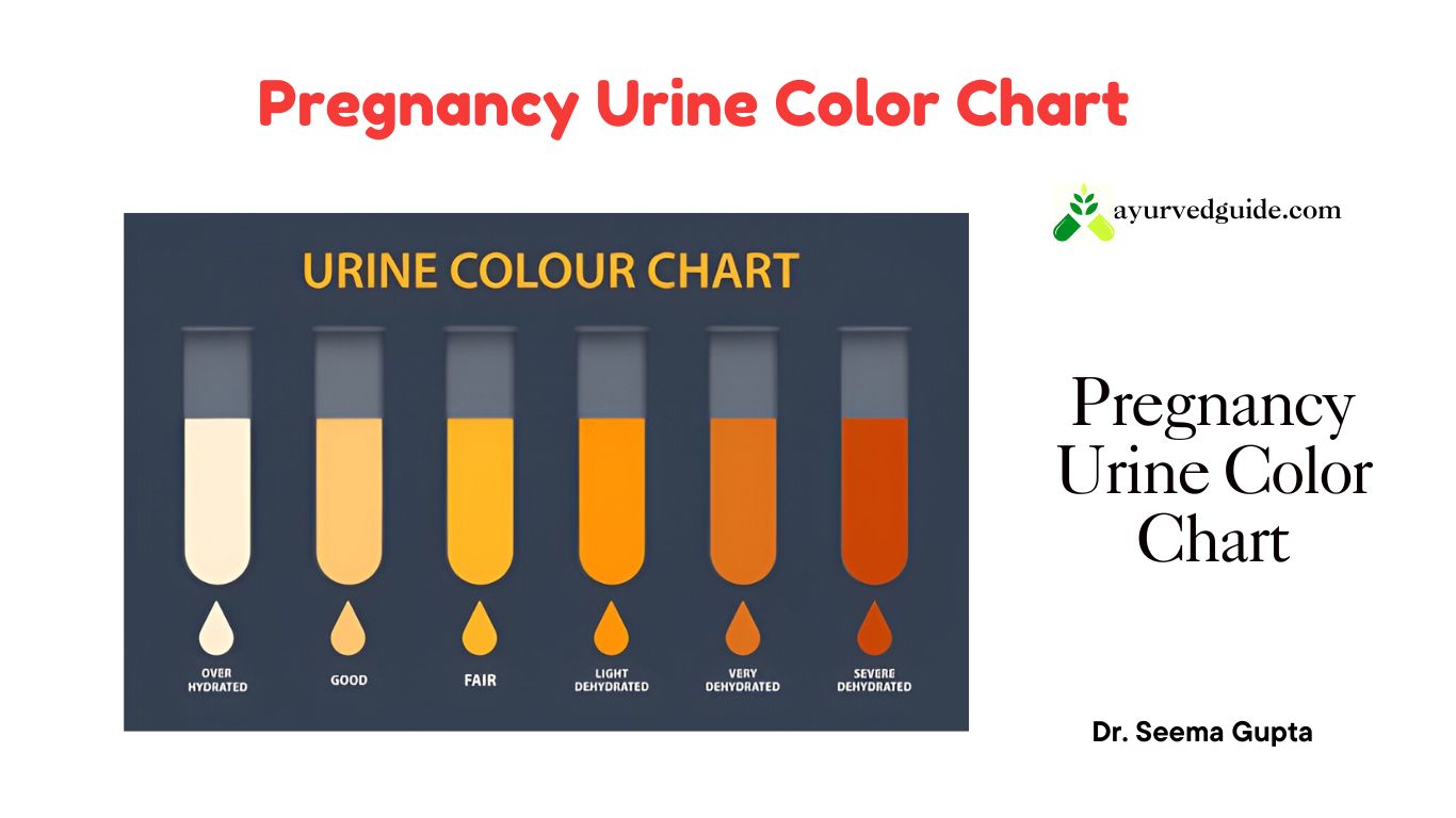 Pregnancy Urine Color Chart