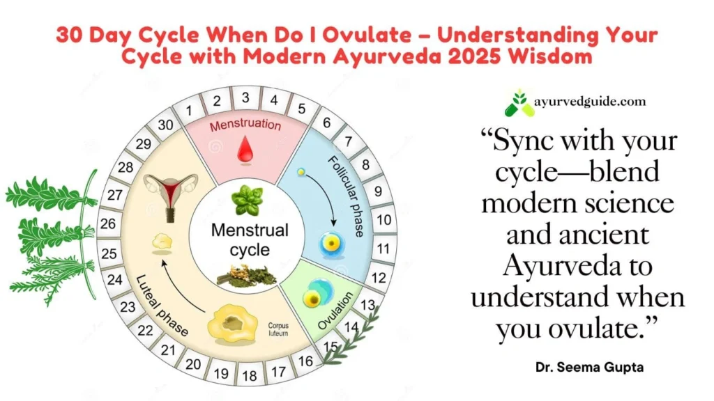 30 Day Cycle When Do I Ovulate
