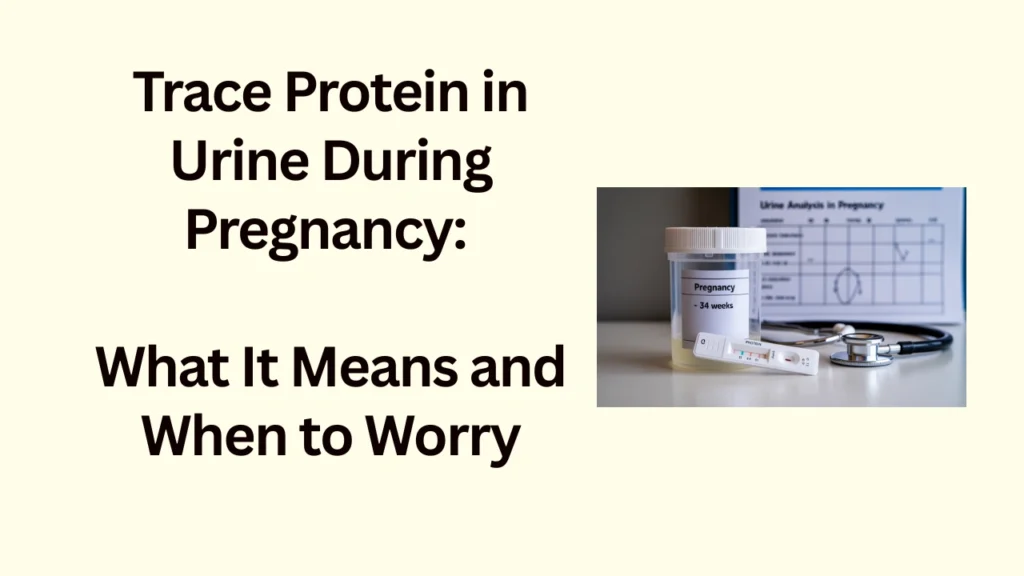 Trace Protein in Urine During Pregnancy